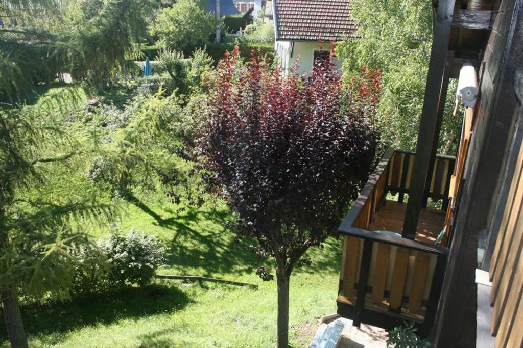 Le Sappey-en-Chartreuse Gite Le Wallis מראה חיצוני תמונה